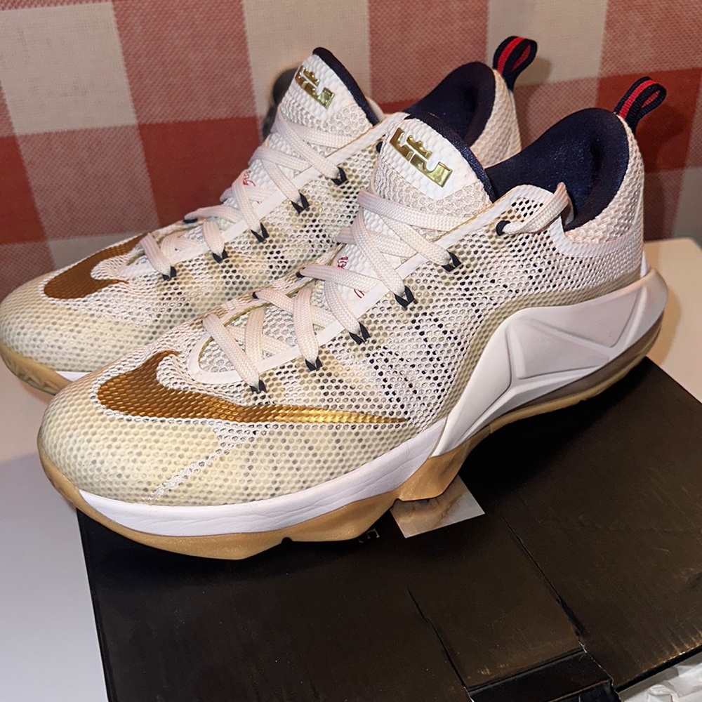 Nike Lebron 12 Low USA